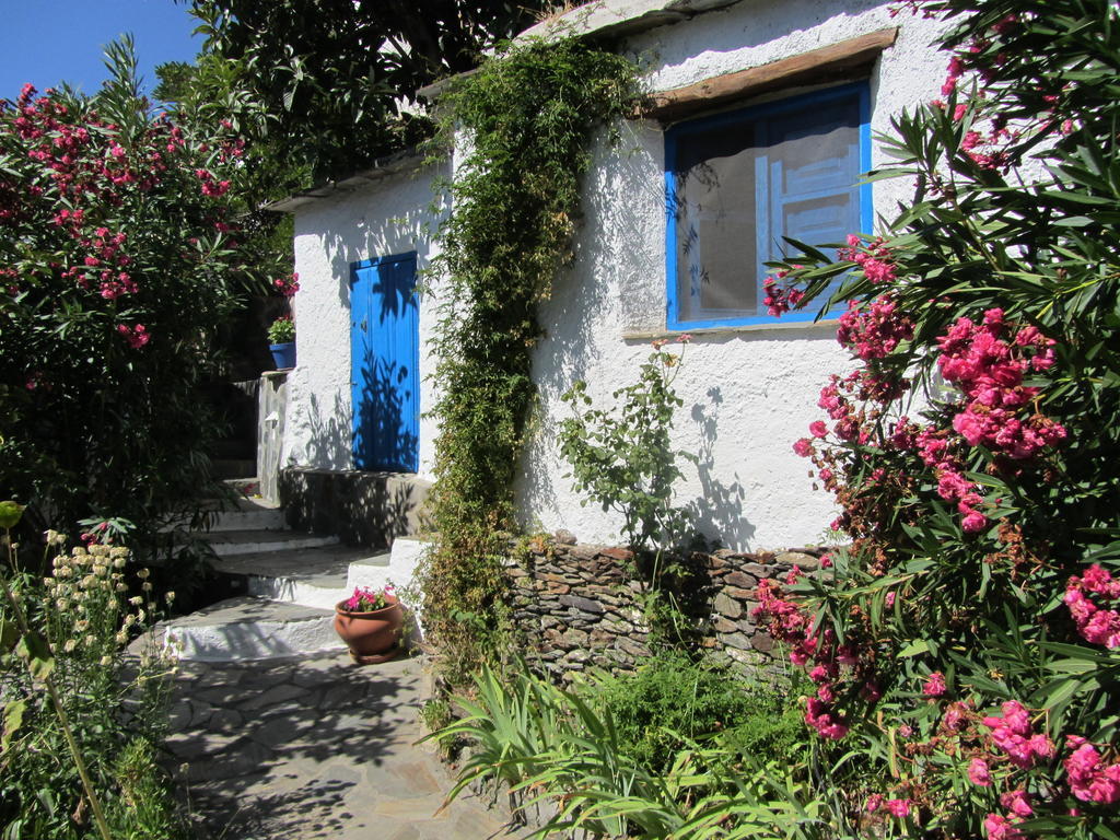 Sierra Y Mar Bed & Breakfast Ferreirola Стая снимка