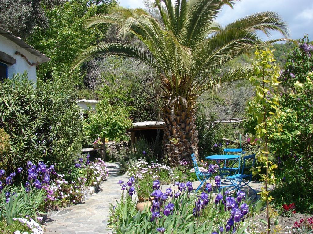 Sierra Y Mar Bed & Breakfast Ferreirola Екстериор снимка