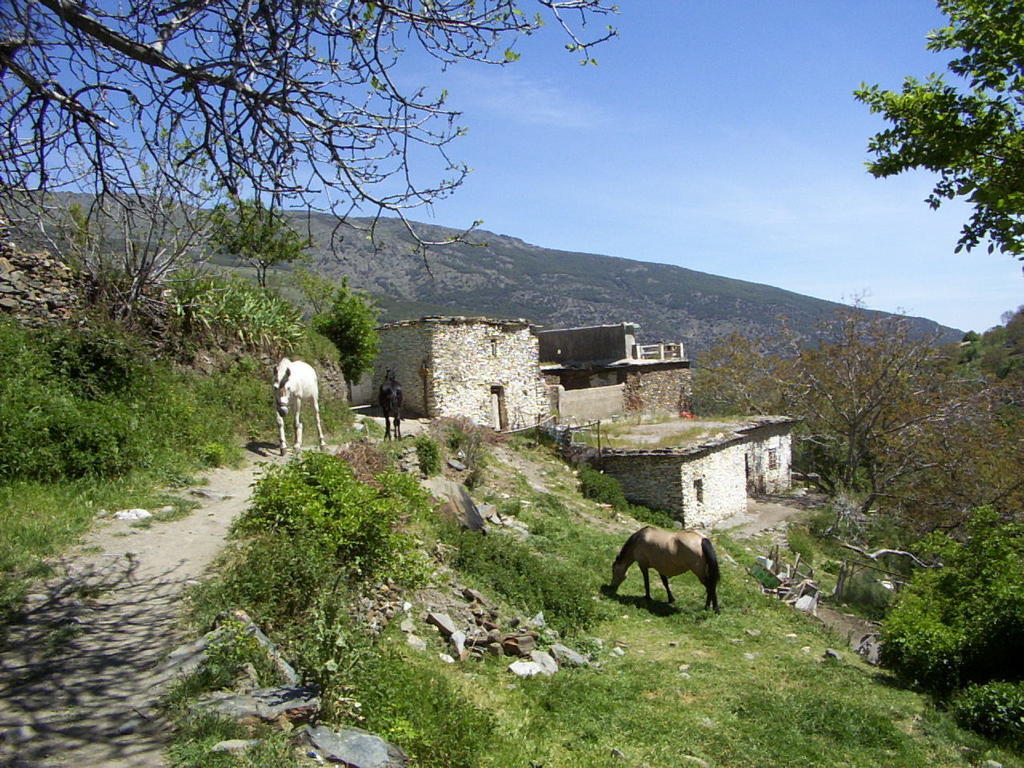 Sierra Y Mar Bed & Breakfast Ferreirola Екстериор снимка