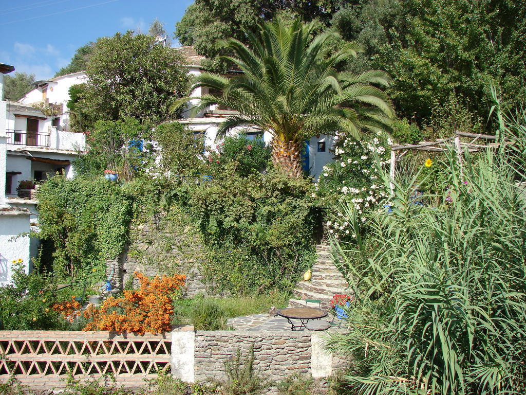 Sierra Y Mar Bed & Breakfast Ferreirola Екстериор снимка